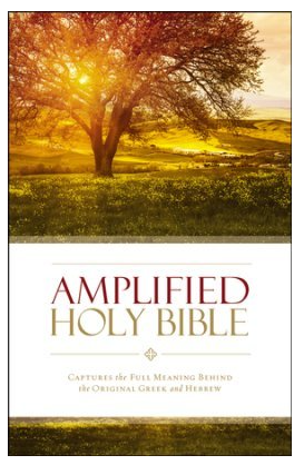 AMPLIFIED HOLY BIBLE MULTICOLOR PAPERBACK